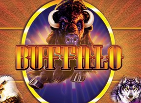 buffalo slot